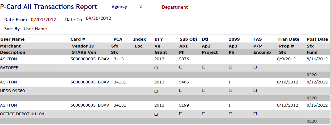 PDF report version