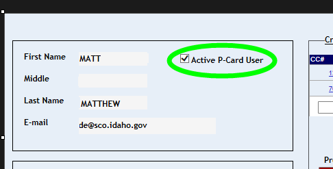 Active P-Card User check box